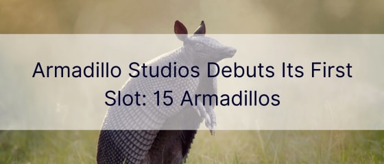 Armadillo Studios debuton lojën e saj të parë: 15 Armadillo
